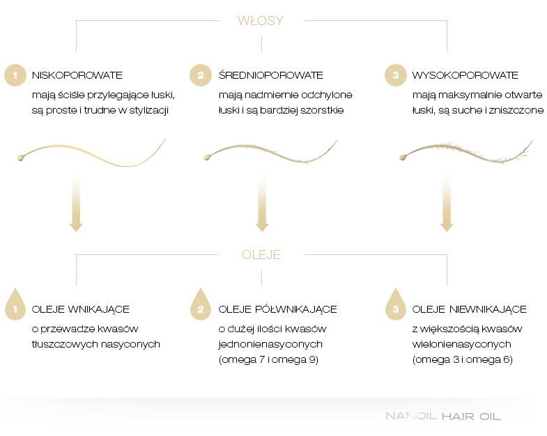 Infografika przedstawiająca różne typy włosa i najlepsze dla nich oleje
