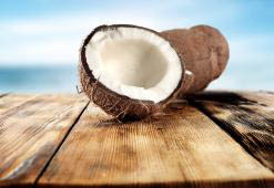 Niepozorny olej kokosowy – kompleksowa ochrona włosów wymagających wzmocnienia